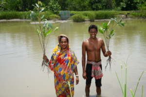 Villagers with Mangrove saplings