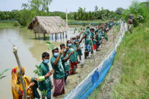 Villagers before mangrove plantation