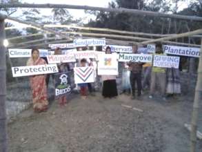 Mangrove Plantation for Protecting Coastal lives