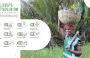 Mangrove Conservation & Restoration in Bangladesh