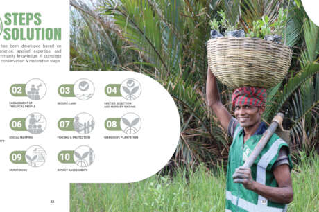 Mangrove Conservation & Restoration in Bangladesh