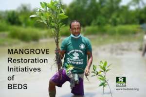 Mangrove Restoration for Coastal Protection
