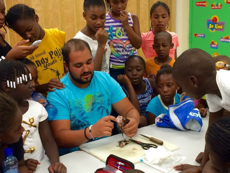 Learning the anatomy of a Lionfish