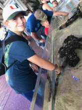A student having a hands-on encounter with a shark