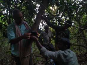 Camera Trap deployment