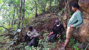 Field Survey