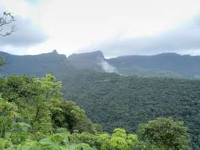 Indian Pangolin Habitat