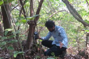 Setting up Camera Trap