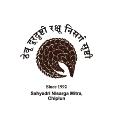 Logo of the Pangolin Conservation