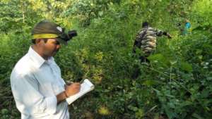 Field Survey