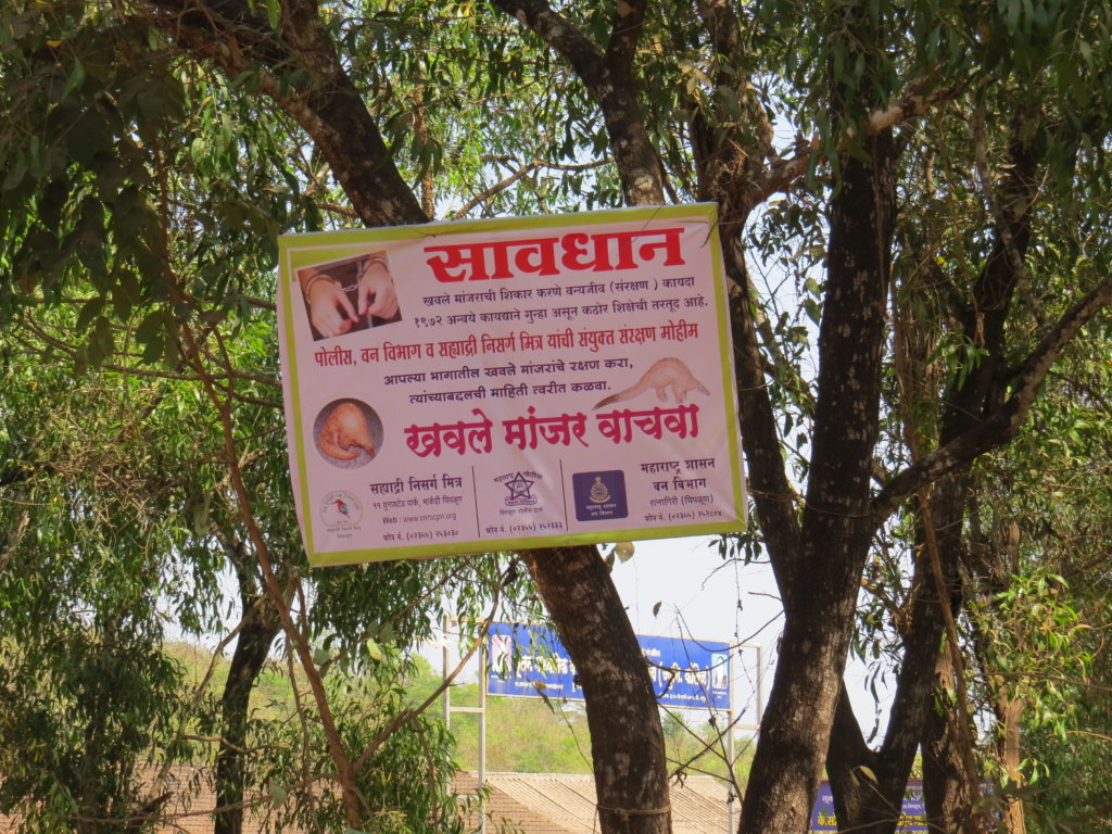 Conservation of Indian Pangolin in 85 villages