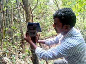 Our Field Officer deploying Camera trap