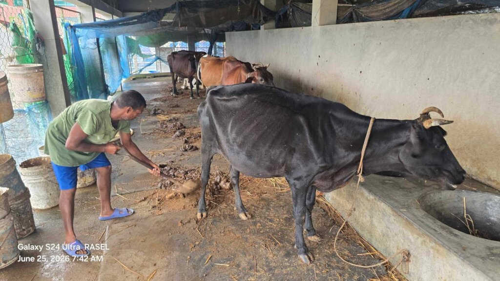Earning source of cooperative