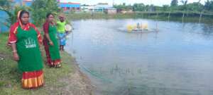Fish production in BANOJIBI agrofarm