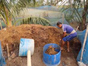 Fertilizer for vegetable production