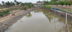 Fish farming with vegetable