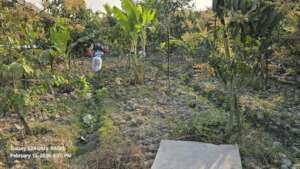 Flowering in the village campus