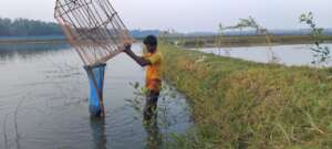 Integrated Faming in coastal area