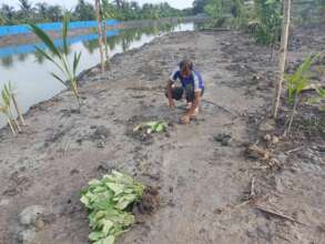 Integrated agricultural farming practice