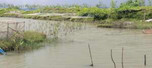 Integrated farming practices in fish farm