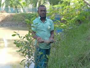 Natural farming of Macrobrachium rosenbergii