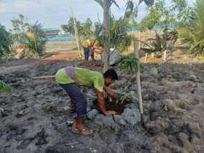 Preparing the bed for natural cultivation