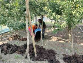 Using manure that is organic