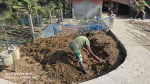 Using the cow dung for natural production