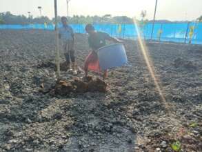 Using organic fertilizer