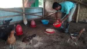 Livestock rearing for livelihood in Covid-19