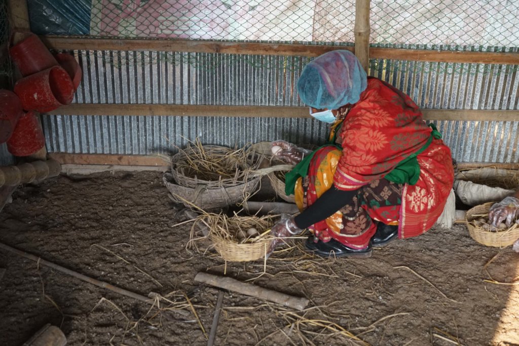 Promoting Natural Farming Practices in Bangladesh