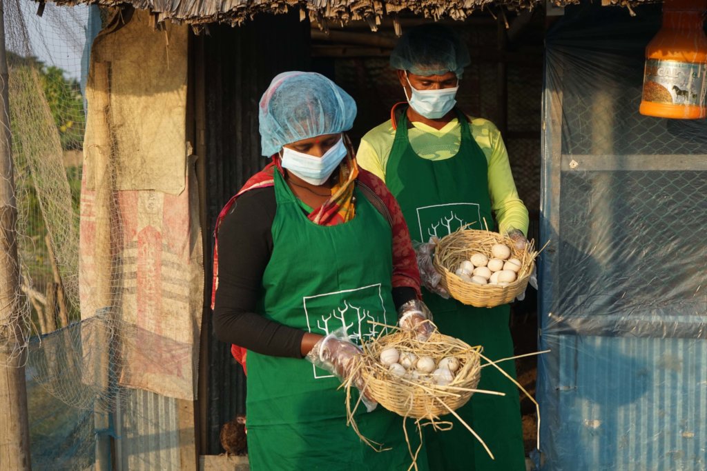 Promoting Natural Farming Practices in Bangladesh