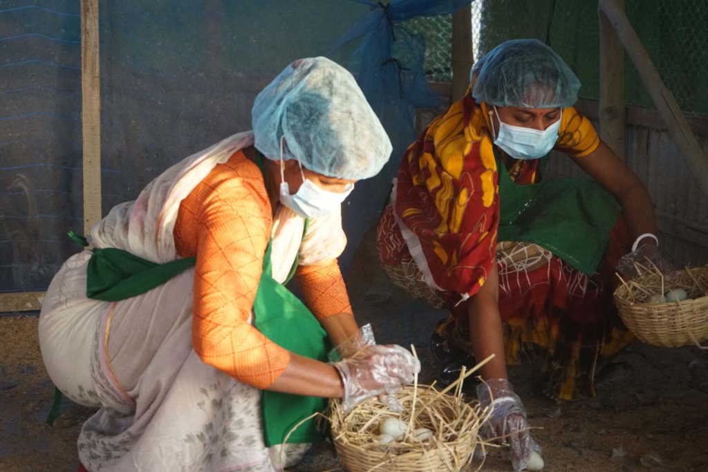 Promoting Natural Farming Practices in Bangladesh
