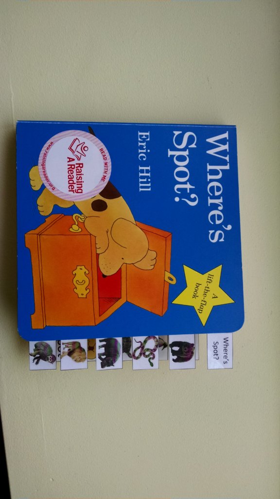 Provide Kids Books About Special Needs