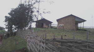 Existing health post in Alugube and Durbe
