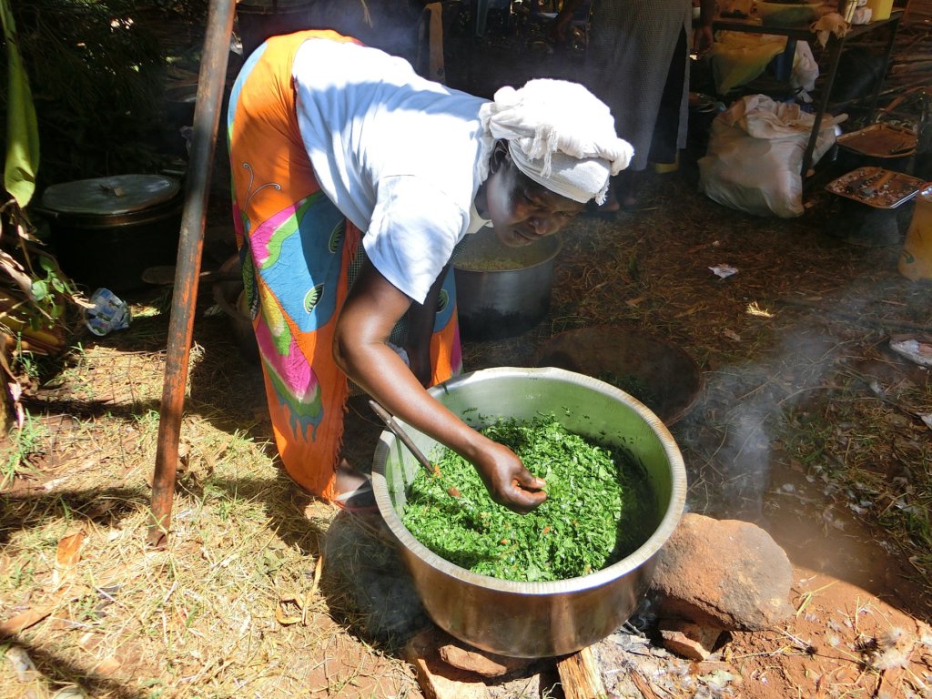 Providing Access to Water for 250 Kenyan Families