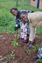 Water for the garden
