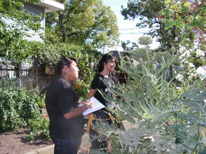 Highland Park Youth Artists Seek Inspiration