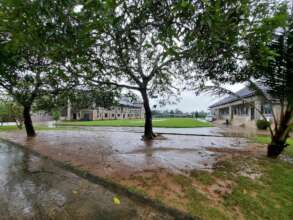 Land of Hope, soaked in rain