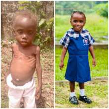 Why we do what we do