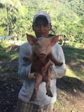 livelihood support