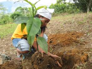 Food production