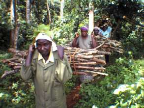 Carrying woods
