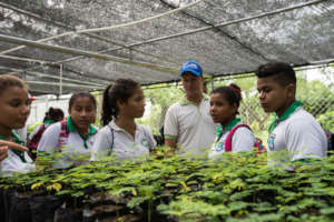 Students learning about "million trees back"