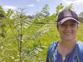 Nuestra ingeniera forestal