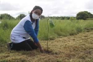 Planting trees