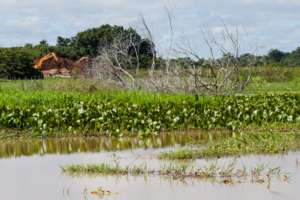 Backhoe working while nature drying