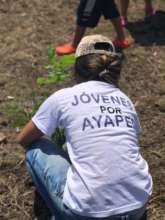 Volunteer Planting a tree