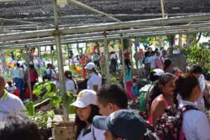 Plant Nursery