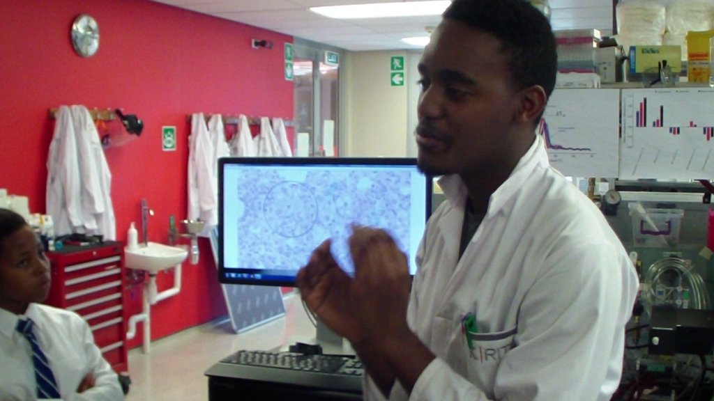 Studying TB at African Health Research Institute